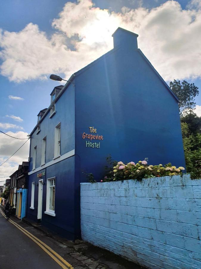 The Grapevine Hostel Dingle Exterior photo