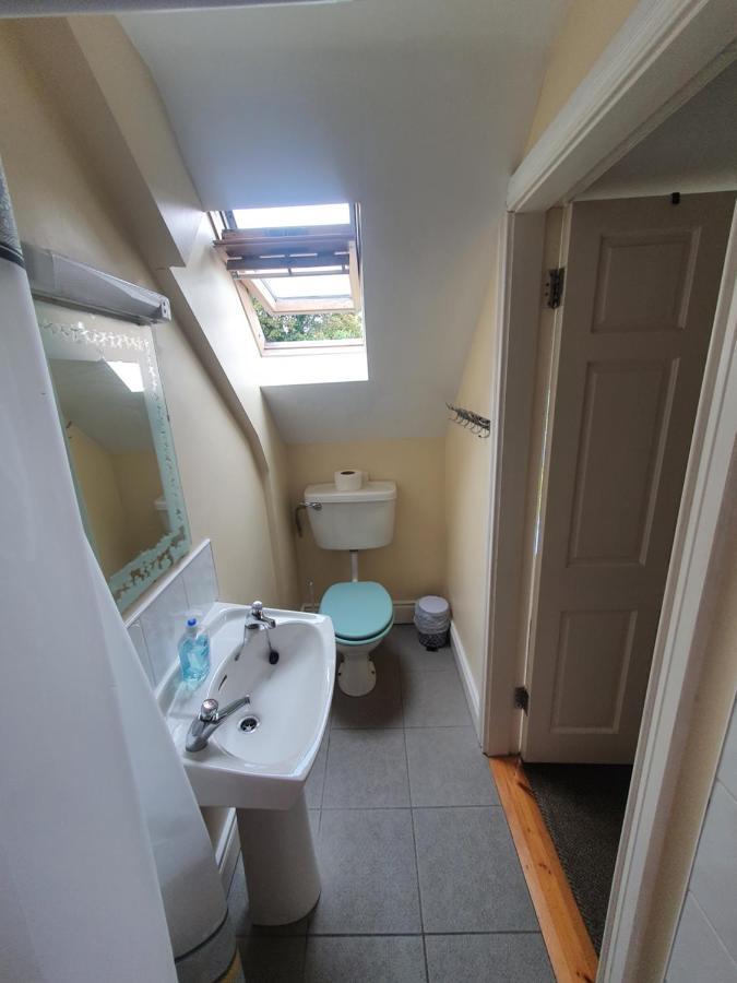 The Grapevine Hostel Dingle Exterior photo