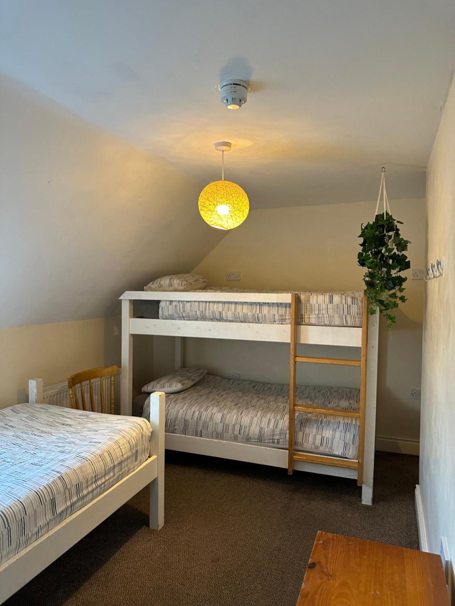 The Grapevine Hostel Dingle Exterior photo