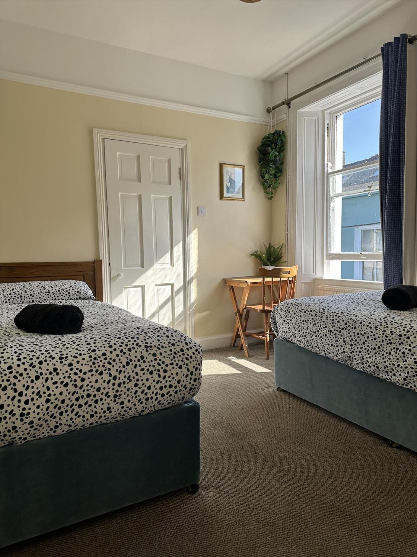 The Grapevine Hostel Dingle Exterior photo